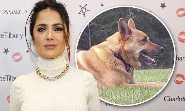 LONDON, ENGLAND - DECEMBER 03: Salma Hayek attends Charlotte Tilbury's naughty Christmas party celebrating the launch of Charlotte's new flagship beauty boutique in Covent Garden on December 3, 2015 in London, England. (Photo by David M. Benett/Dave Benett/Getty Images for Charlotte Tilbury)