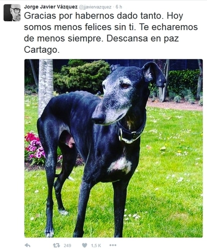 jjgalgos