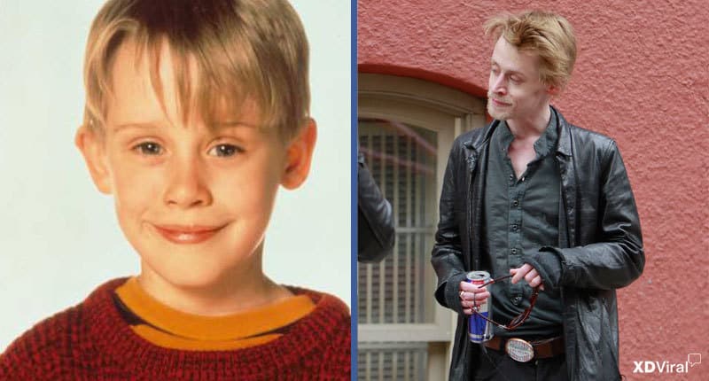 macaulay