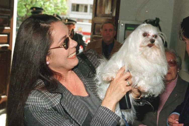 ¿Aún no conoces a Sisi? ¡La perrita de Isabel Pantoja que ya es toda una celebrity!