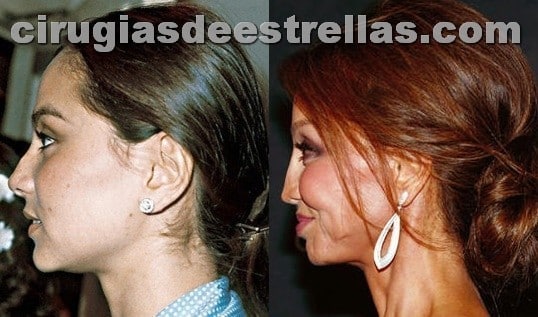 Isabel Preysler confiesa entre amigos que no habrá boda con Vargas Llosa: "Llevo casada toda la vida"