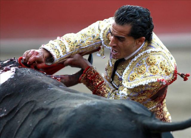 Muere el torero Iván Fandiño tras recibir una cornada mortal en el costado derecho
