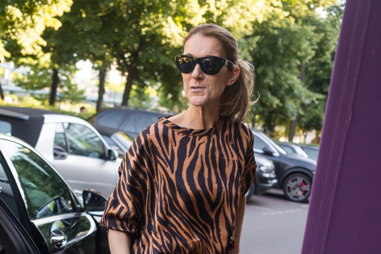 Celine Dion o cómo vestir súper hortera a precios escandalosos y desorbitados