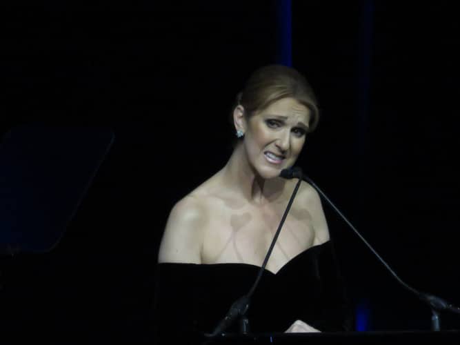 Celine Dion o cómo vestir súper hortera a precios escandalosos y desorbitados