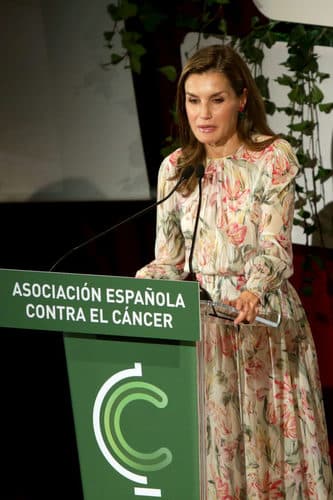 La doble moral de Letizia: profeta de lo 'eco' y vehículo oficial en el 'Día Mundial Sin Coches'