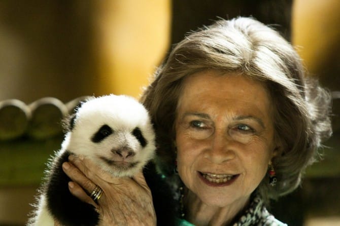 La soledad de la reina: Sofía cumple 79 años separada de su marido y apartada de sus nietas