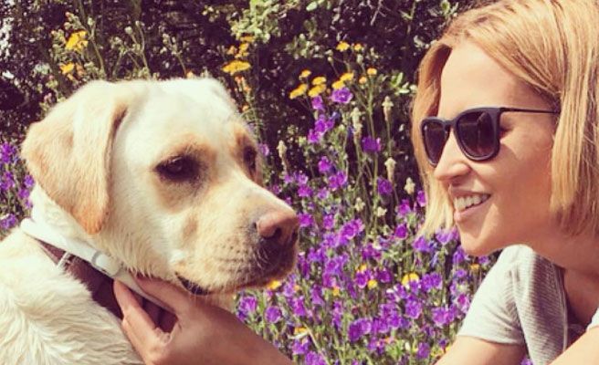 ¿Se parecen los perros a sus (famosos) dueños?