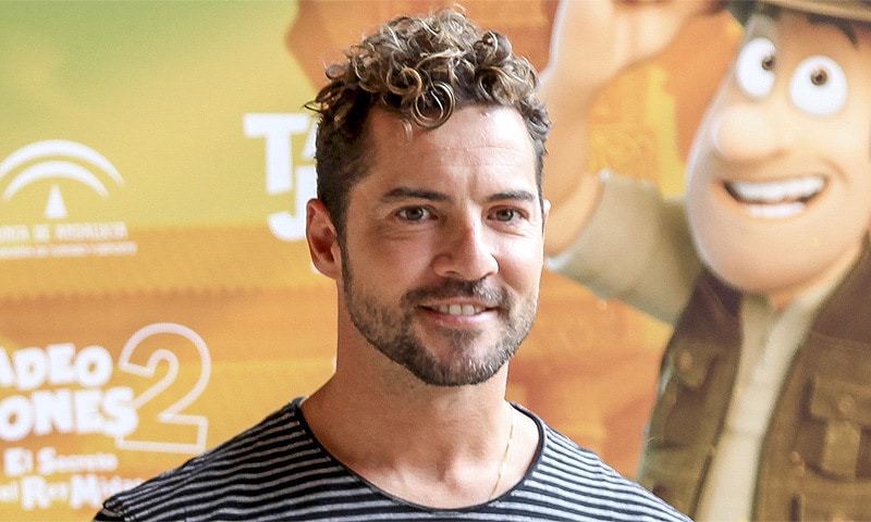 David Bisbal