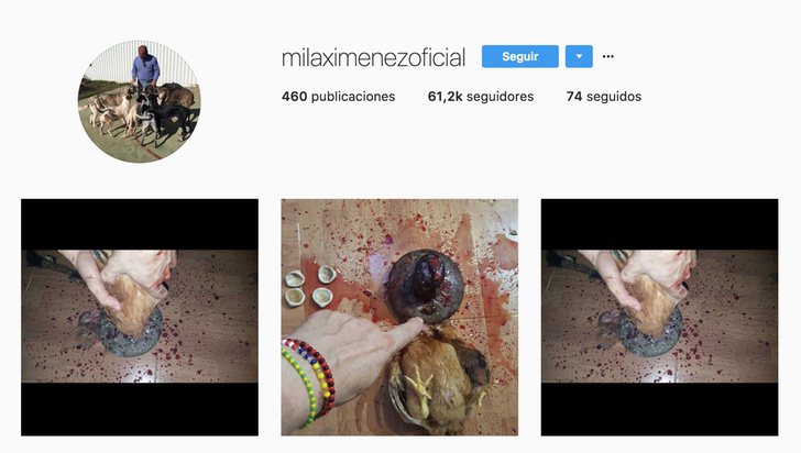 El vídeo en el que Maestro Joao destruye a Sofía Suescun y Alejandro Albalá