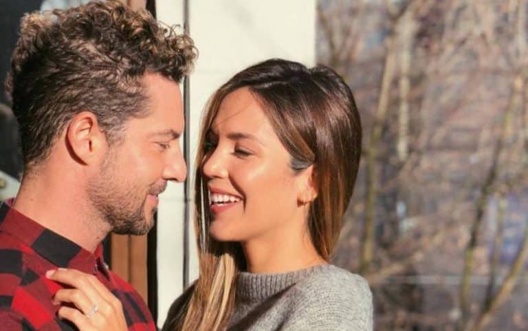 Rosanna Zanetti y David Bisbal se desmelenan y publican su posado más hot