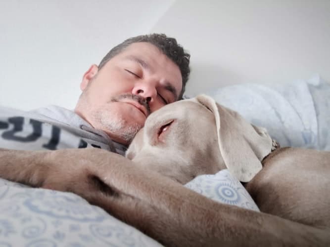 dormir bien descansar