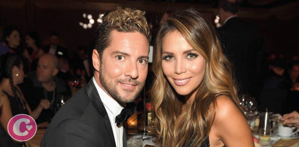 Exclusiva: El viaje secreto de David Bisbal y Rosanna Zanetti (y no es a Japón)