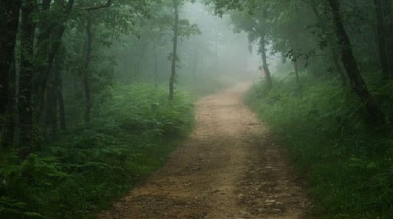 Caminante, los pies son lo importante para hacer camino
