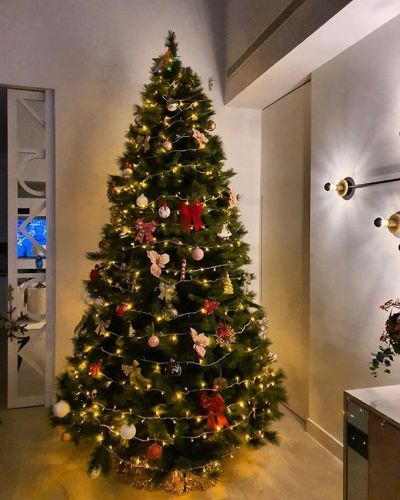 Así decoran sus casas los famosos en Navidad