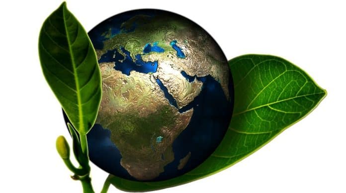 medio ambiente medio ambiente
