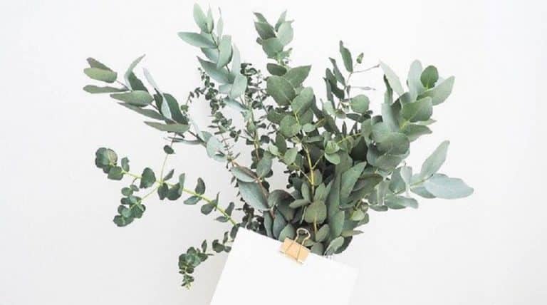 Verde, el color tendencia en decoración floral