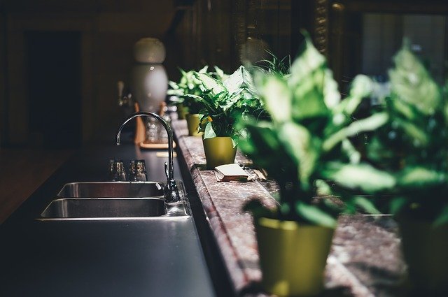 cocina cecotec