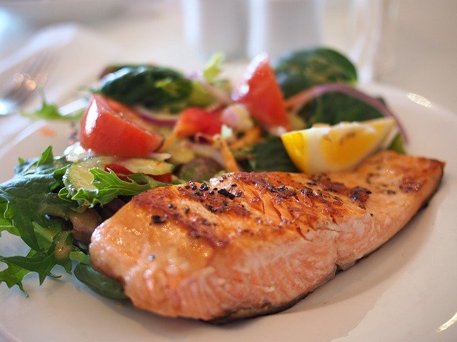 plato comida