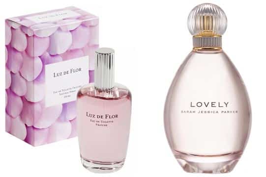 luz flor de rosa