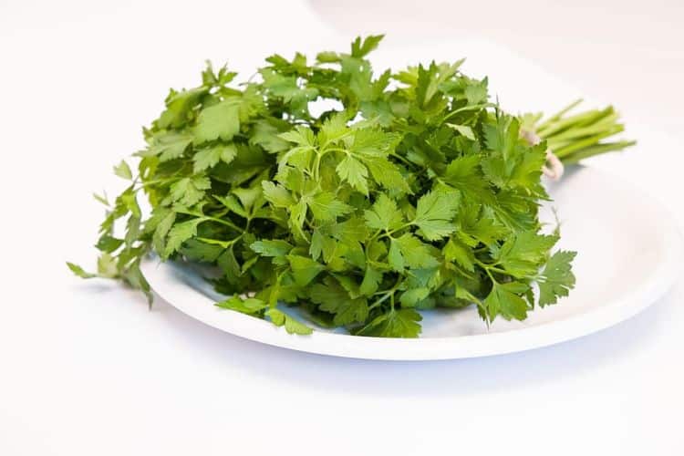 Hierbas que puedes utilizar en la cocina para aderezar tus platos perejil