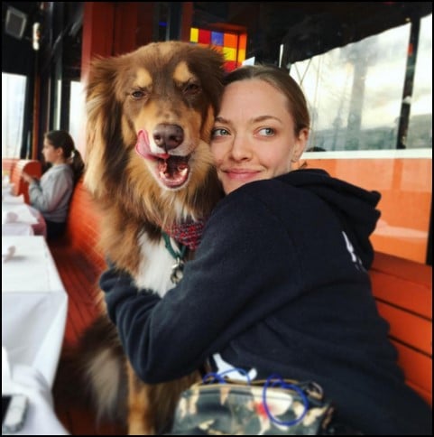 Amanda Seyfried y su mascota