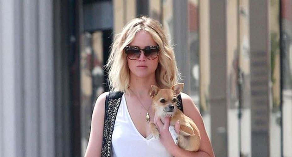 Jennifer Lawrence y su mascota