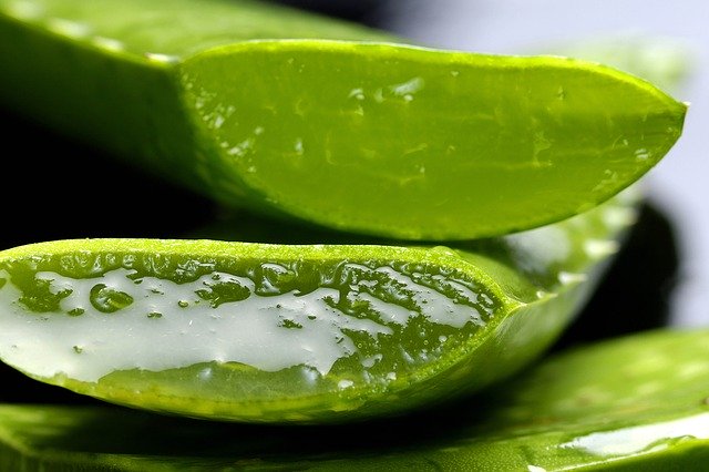 aloe vera piel