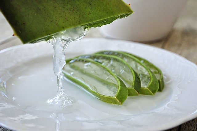 Lidl, Mercadona, Carrefour: cremas con aloe vera para una piel más suave y cuidada