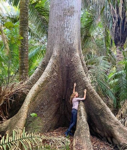 La modelo Gisele Bundchen abrazando un árbol.