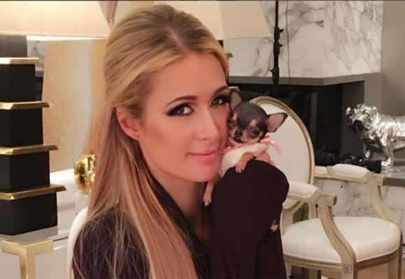 Paris Hilton y su mascota