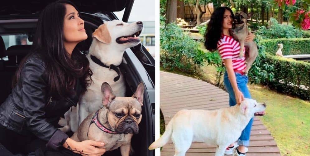 Salma Hayek y sus mascotas