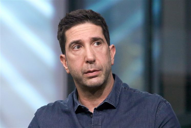 David Schwimmer absorto