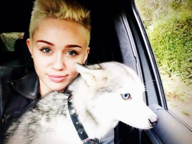 Miley Cyrus anunció en Twitter la pérdida de su amado Floyd