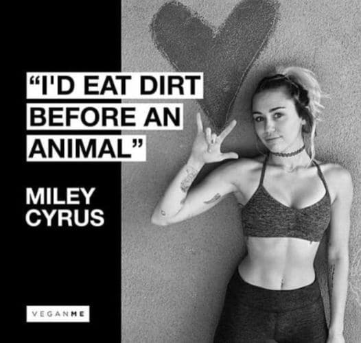 Miley Cyrus 