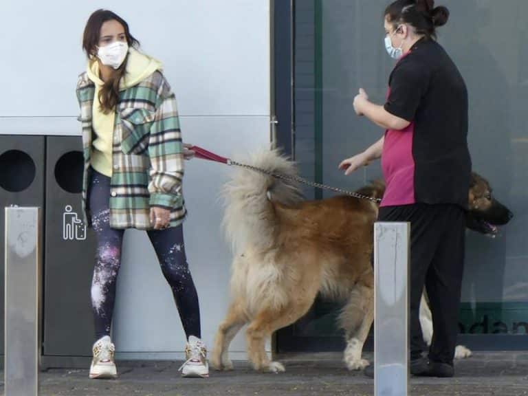 El mal rato de Gloria Camila luchando por meter a su perro en el coche