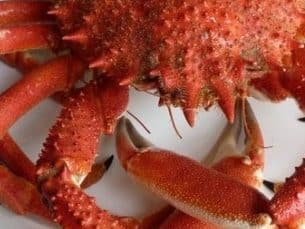 Aprende a cocer el marisco