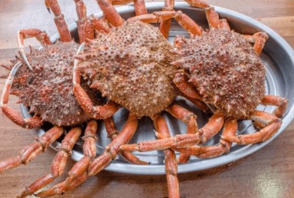 Aprende a cocer el marisco