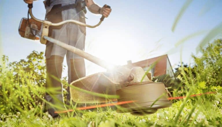 ¿Por qué un jardín se debe mantener con una desbrozadora?