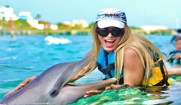nadar con delfines en Cancún