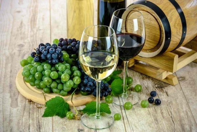 5 Buenos vinos a buen precio