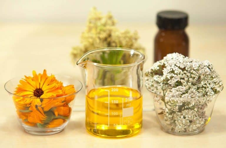 Infusiones de Mercadona para favorecer las digestiones 