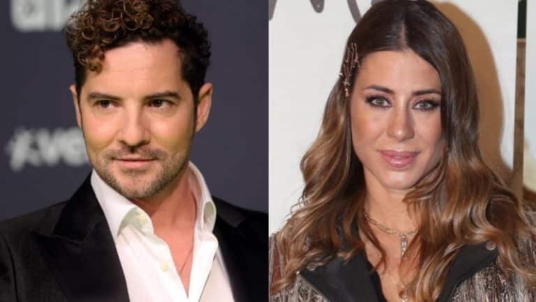 Elena Tablada y David Bisbal se organizan para celebrar el cumpleaños de su hija Ella