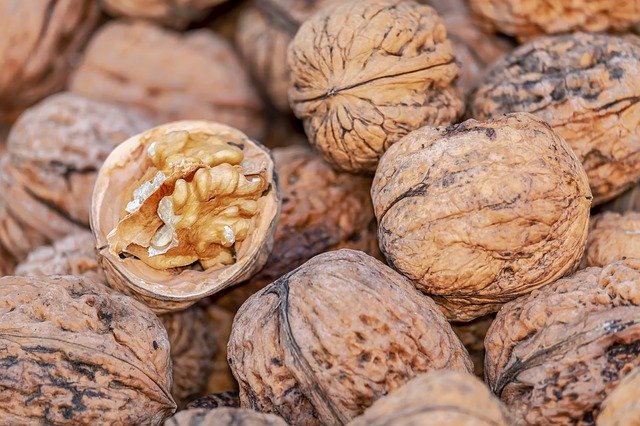 Nueces, el alimento perfecto: propiedades y recetas