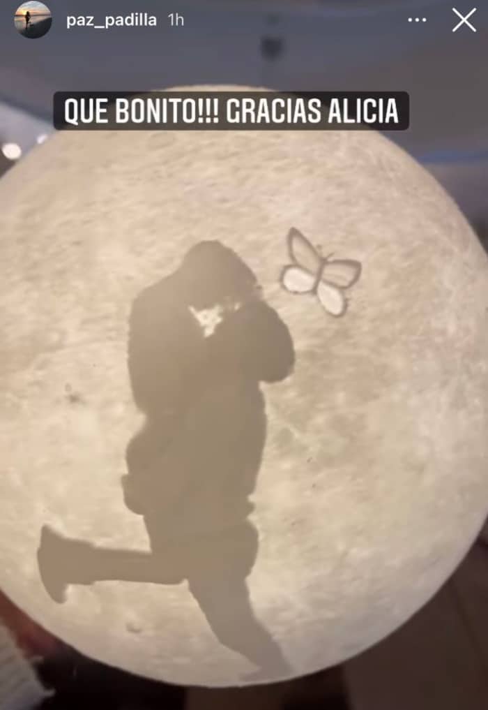 paz regalo