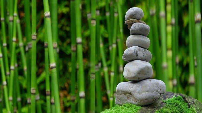 Crear diferentes espacios en el jardín