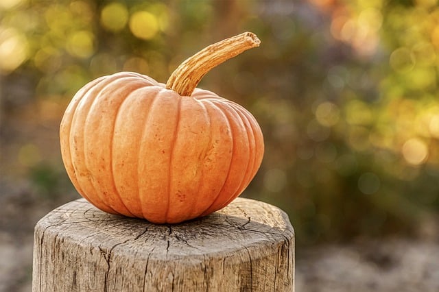 Receta de pastel de calabaza, una exquisitez llena de nutrientes