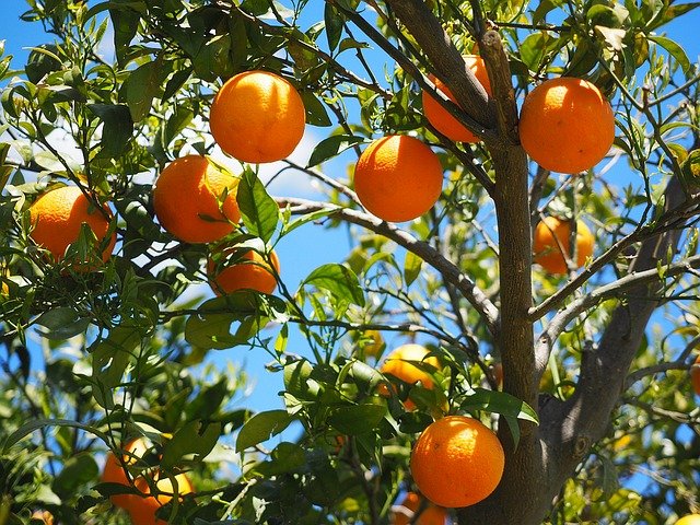 La naranja, el ‘ácido hialurónico’ natural que tu piel necesita