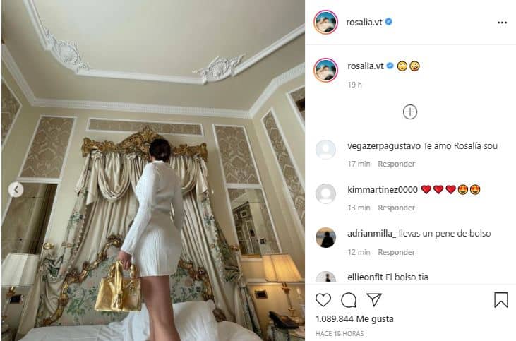 Rosalía captura instagram bolso pene