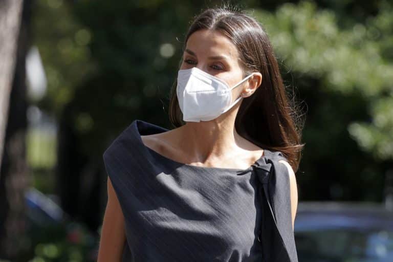 Reina Letizia: su vestido gris de APRAMP con el mensaje más duro