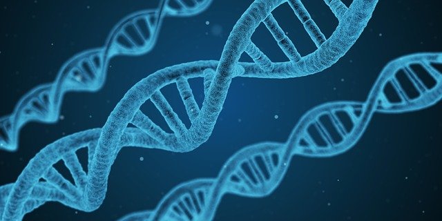 Menopausia: La importancia de un test genético para afrontarla